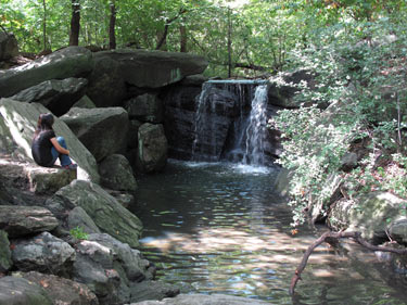 North Woods