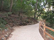 Santa Barbara Botanic Garden, CA