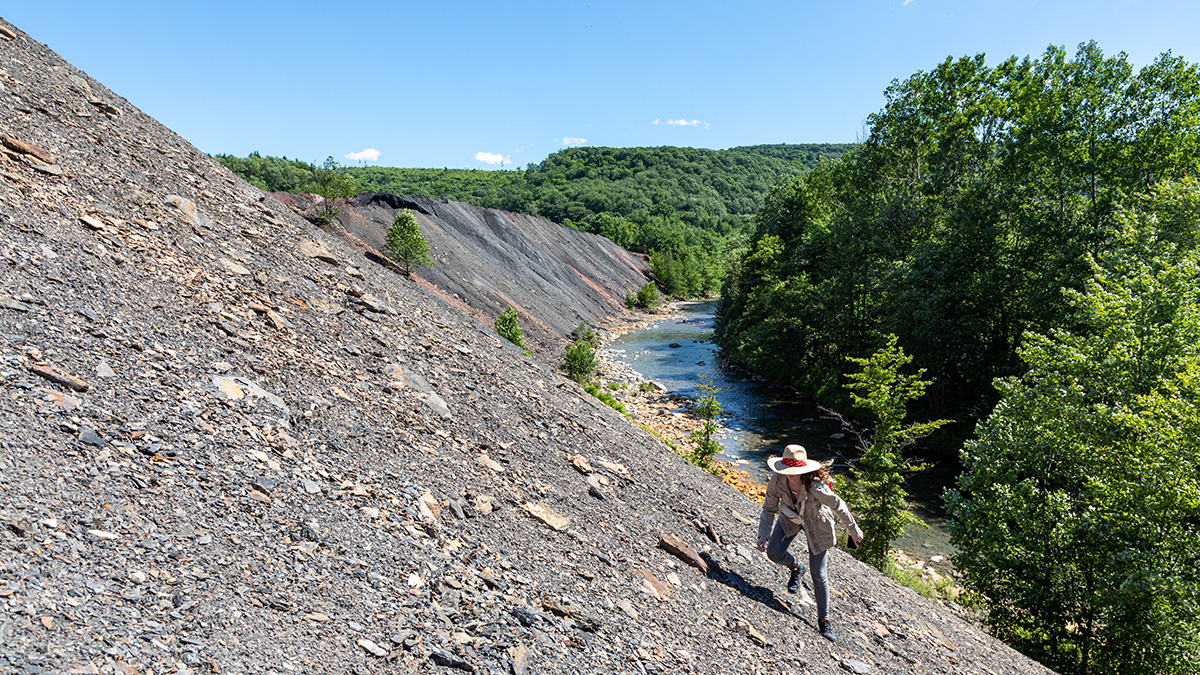 Vintondale Reclamation Park TCLF