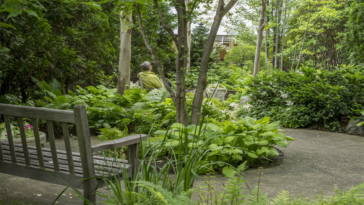 The Norma C. Siegler Healing Garden at The Gathering Place