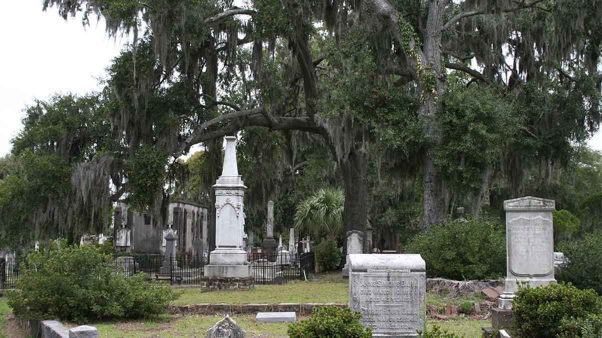 Grave markers and live oaks