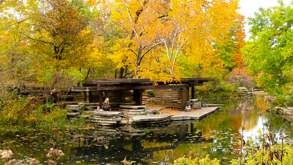 Pavilion over the pond in autumn