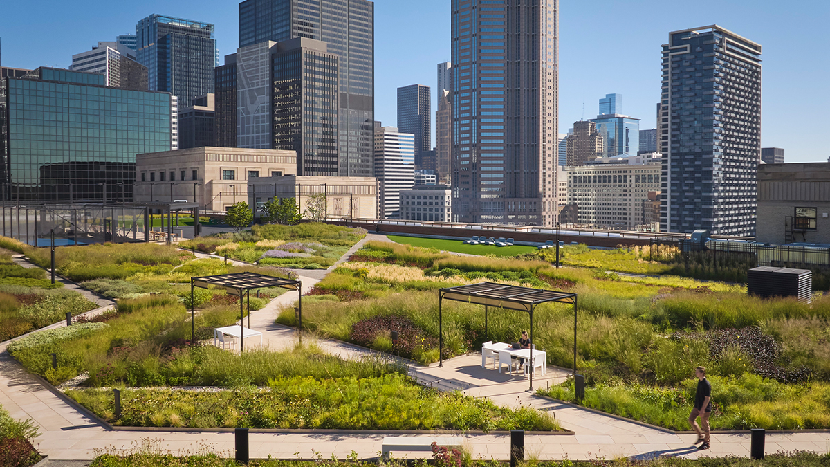 View of gardens and people walking on pathways; buildings surround