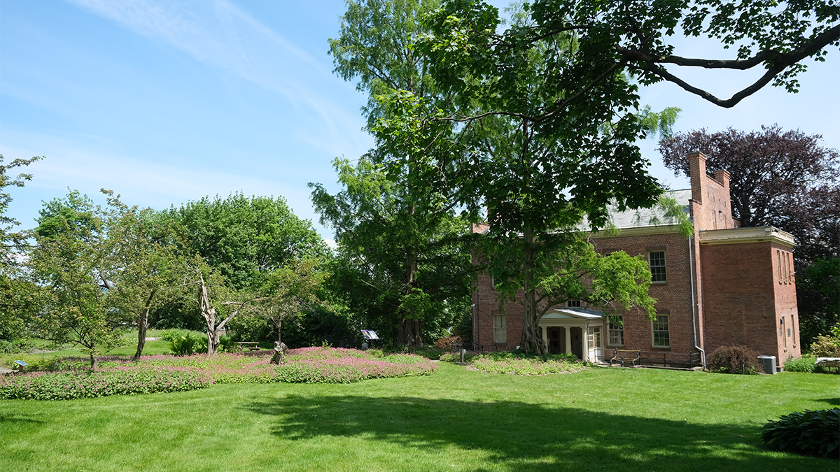House on the right; lawn and trees