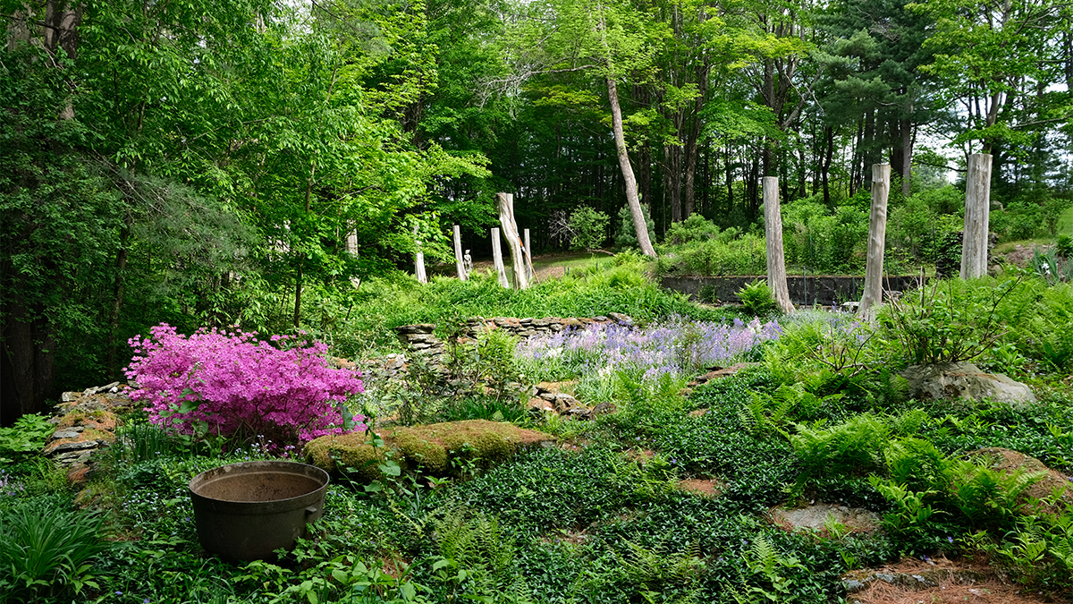 Garden in bloom