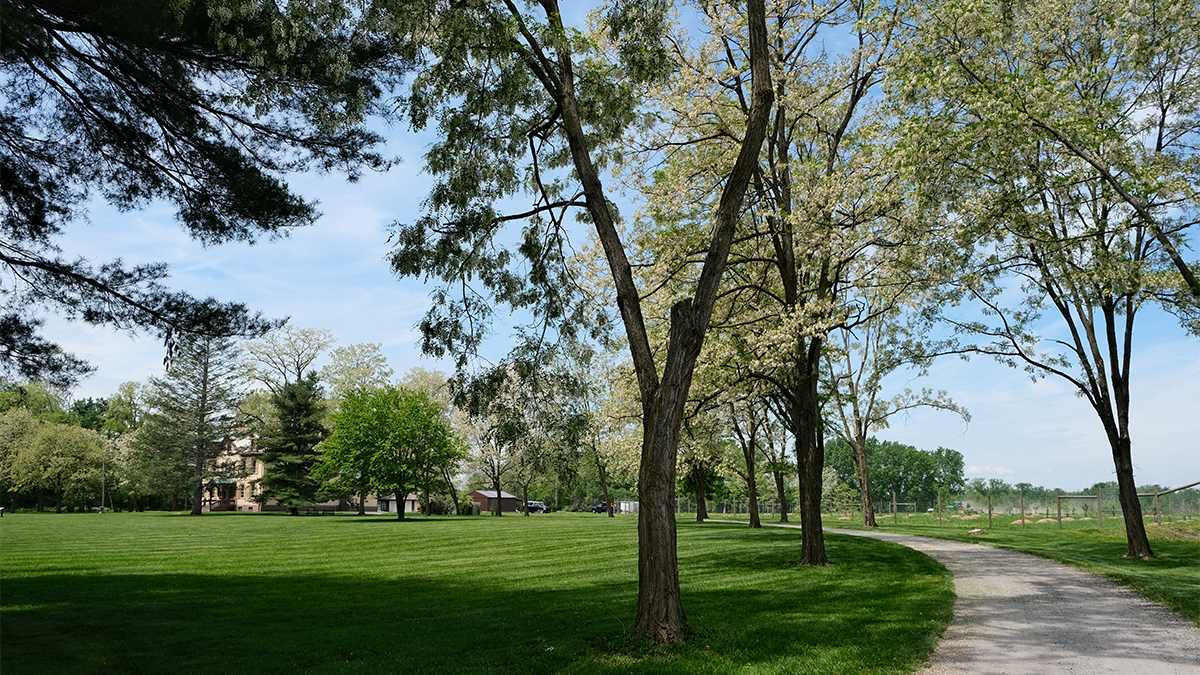Curving path lined by trees; house in distance