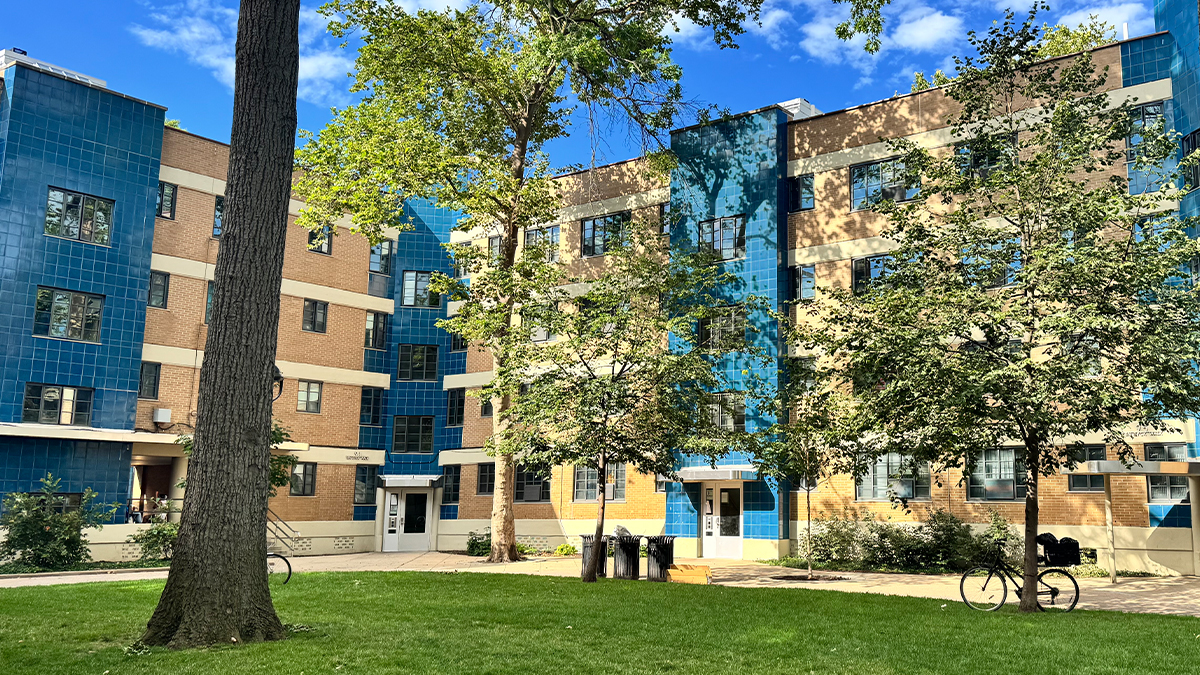 Tree on left in foreground; building in background