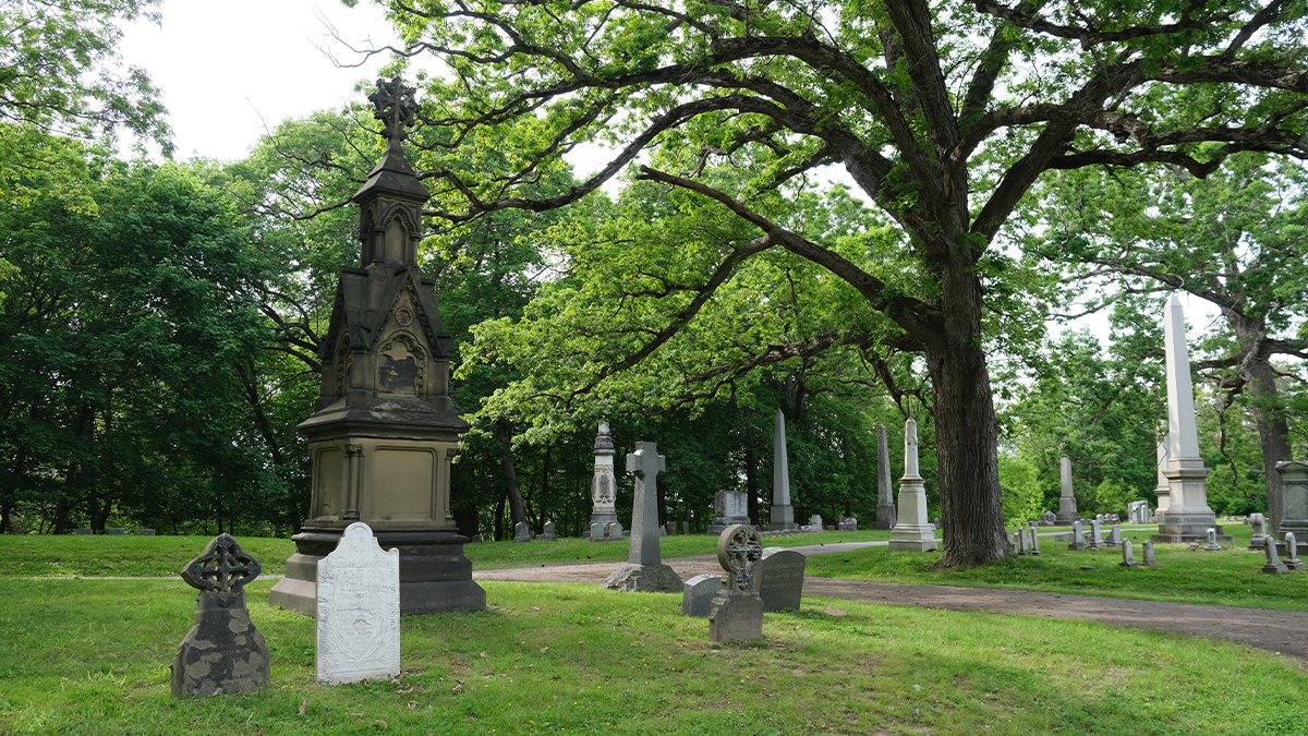 Grave markers on the left and in background; tree on the right