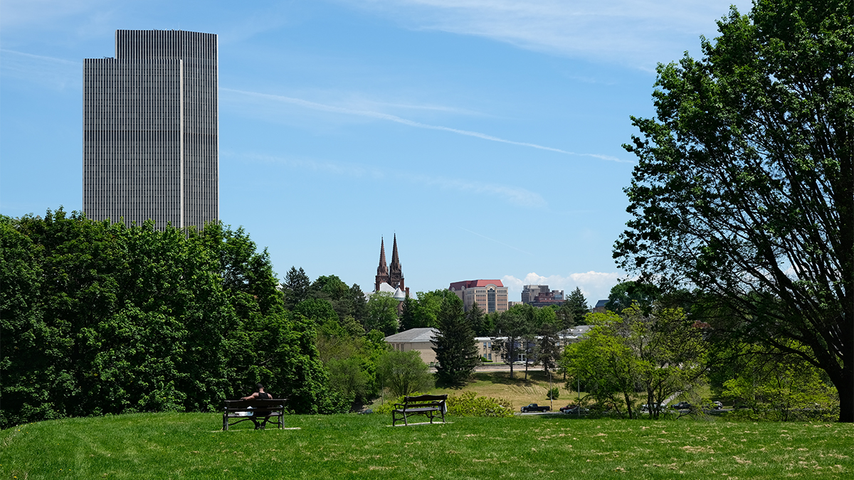 Man sits on a bench on a hilltop looking over the city; tree on the right