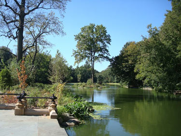 Tear Drop Island After Restoration