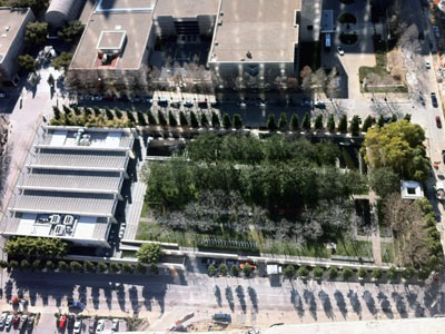 Nasher Overhead