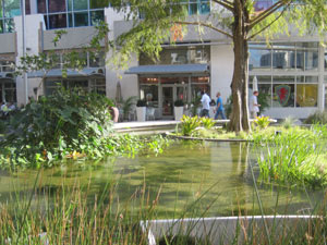 1111 Lincoln Road Plaza water garden