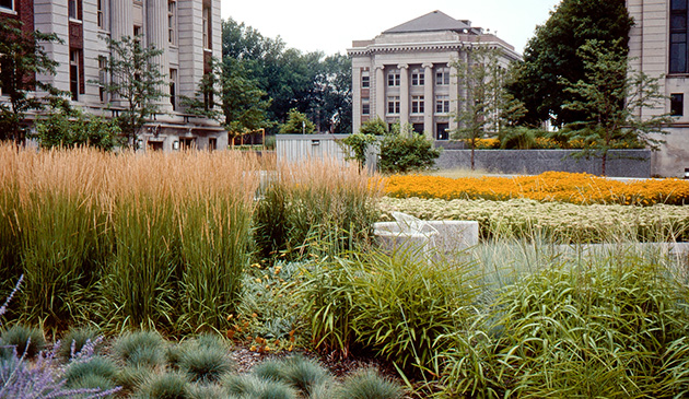 David Lilly Plaza