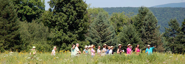 Twin Maples Farm