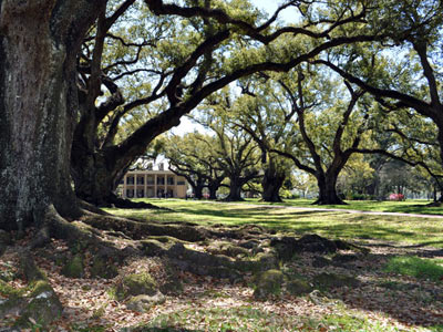 Oak Alley Plantation