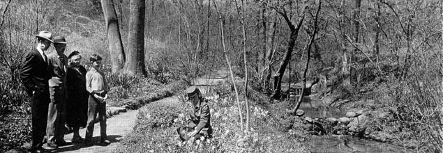 Dumbarton Oaks Park