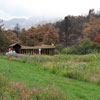 Santa Barbara Botanic Garden 