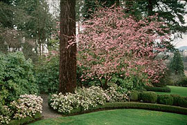 Lord & Schryver Garden, Portland, OR