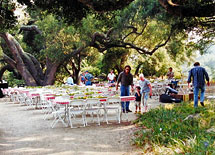 Santa Barbara Botanic Garden, CA 