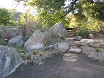 Santa Barbara Botanic Garden, CA 