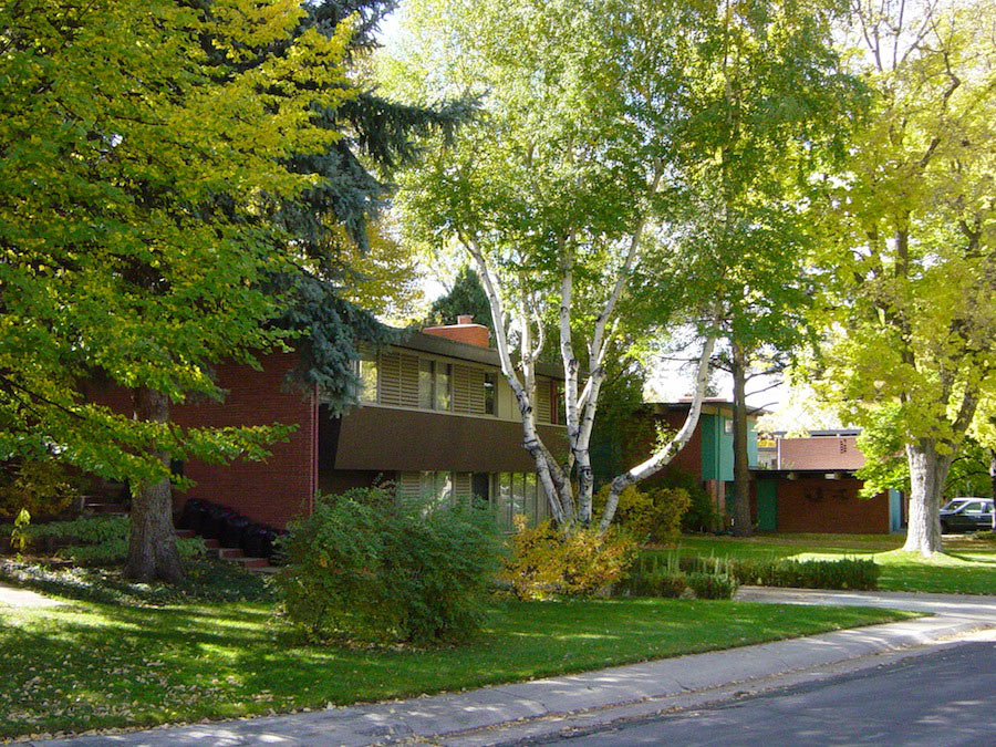 East Cornell Avenue in Fall