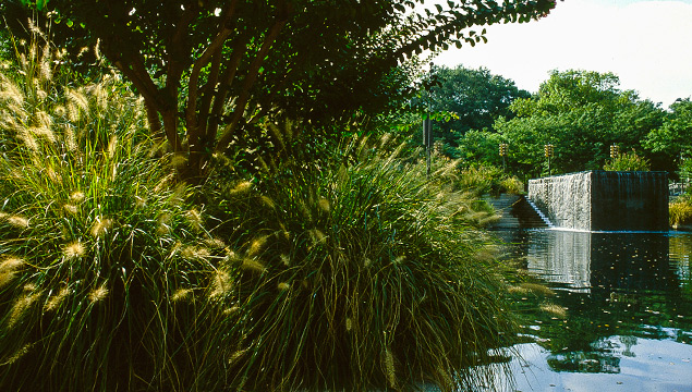 Pershing Park. Photo courtesy of Oehme, van Sweden & Associates