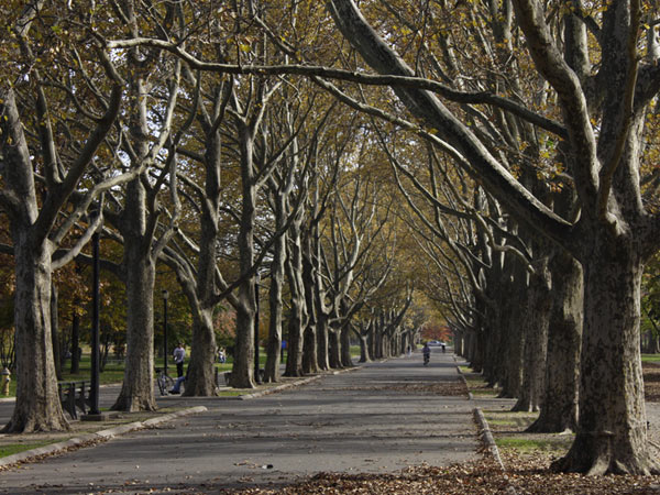 Flushing Meadows Corona Park