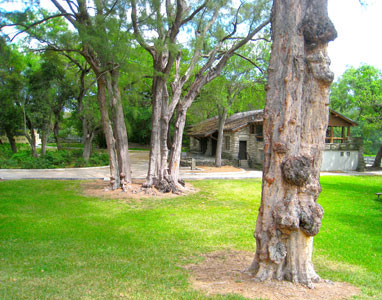 Greynolds Park Boat House