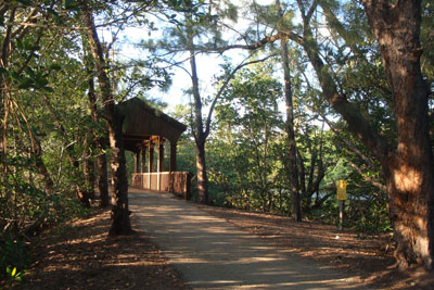 Greynolds Park