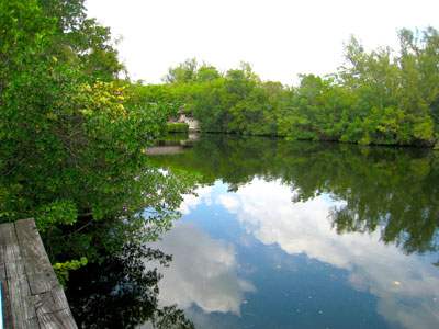 Greynolds Park Lagoon