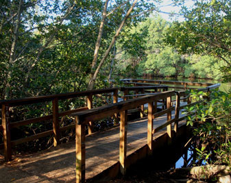 Greynolds Park Lagoon