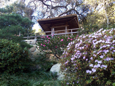 Hannah Carter Japanese Garden