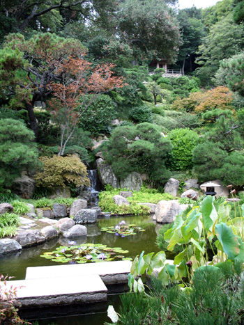 Hannah Carter Japanese Garden