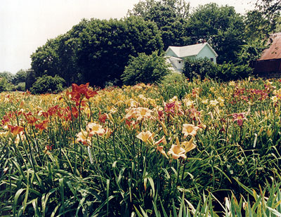 Margaret Thomas Garden