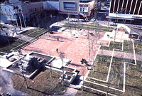 The Plaza