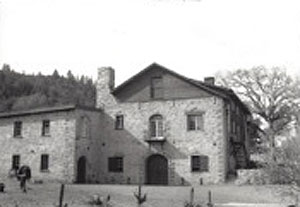Vineyard in 1938