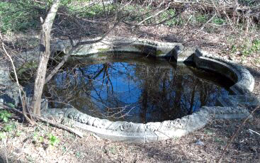 Goldfish Pond