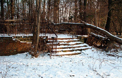 Willowpond Steps