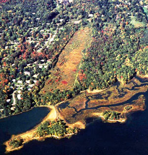 Aerial of Meadow