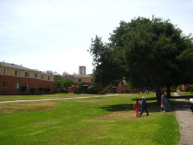 Common Greenspace, Wyvernwood