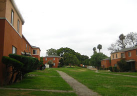 Open Space, Wyvernwood