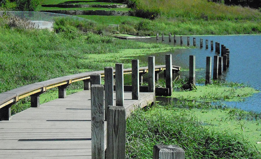 Greenwood Pond:
Double Site 