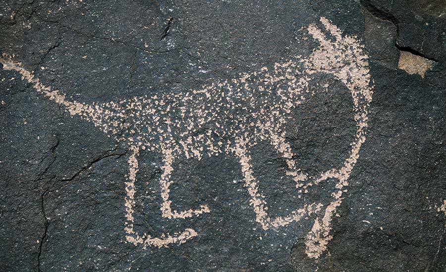 Wells Petroglyph Preserve