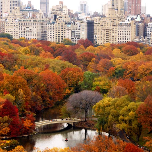 Bridging the Nature-Culture Divide II: Stewardship of Central Park’s ...