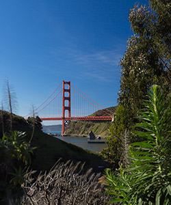 Golden Gate