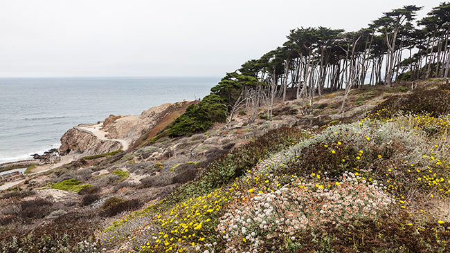 Lands End