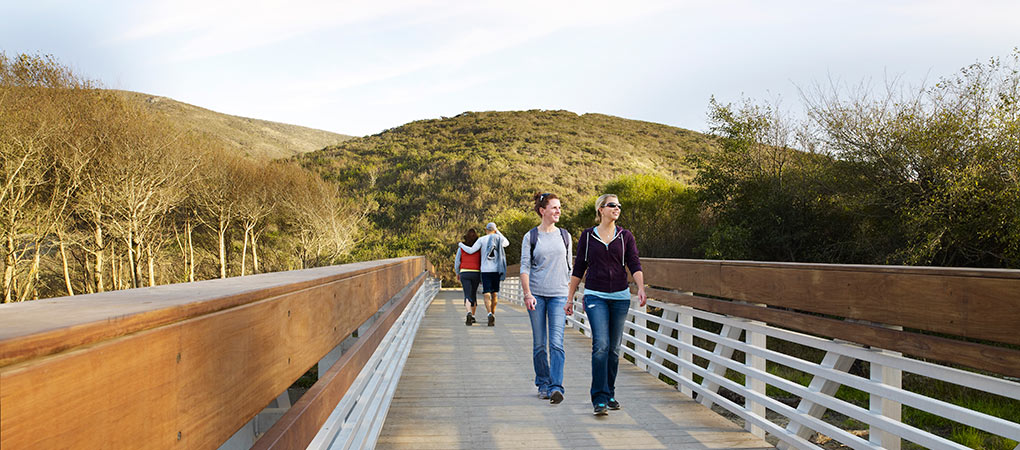 Park Bridge, Redwood Creek