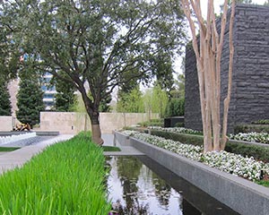 Nasher Sculpture Center