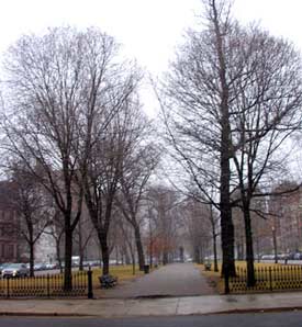 Commonwealth Avenue Mall