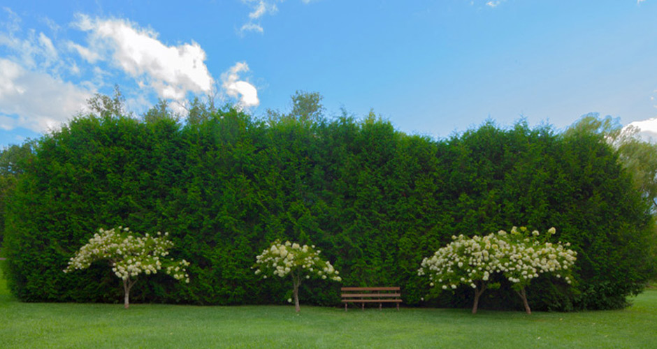 Kenjockety (Shapiro Phelan Residence)